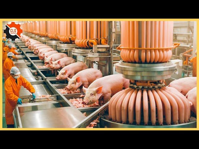 Most Unbelievable Food Industry Machines That At Another Level ▶249