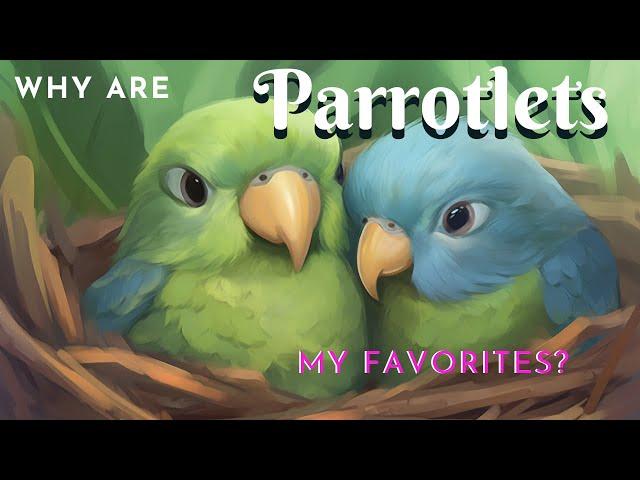 Why Are Parrotlets 1 of My FAV Birds? | #parrot_bliss #parrotlet