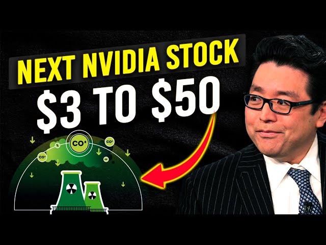 Tom Lee Drops A Bombshell - 4 Dirt Cheap Stocks To Ride The New Billion-Dollars Wave - Get In ASAP