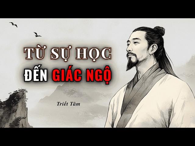 8 Giai Đoạn Của Một Kiếp Người: Từ Sự Học Đến Giác Ngộ