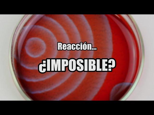 La reacción química más RARA del MUNDO| La imposible mezcla oscilante de Belousov-Zhabotinsky