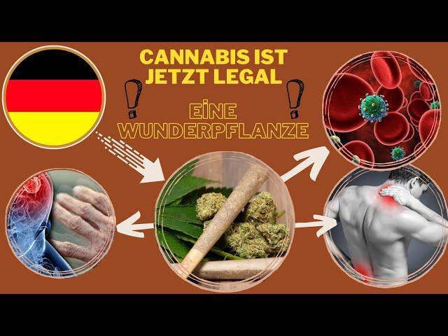 CANNABİS:Die Medizin für 4 schwere Krankheite-Gesundheit