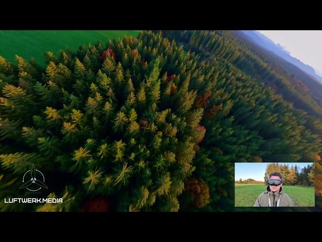 @Luftwerkmedia Der GOLDENE Herbst ist da– die beste Zeit für FPV und Color Grading!