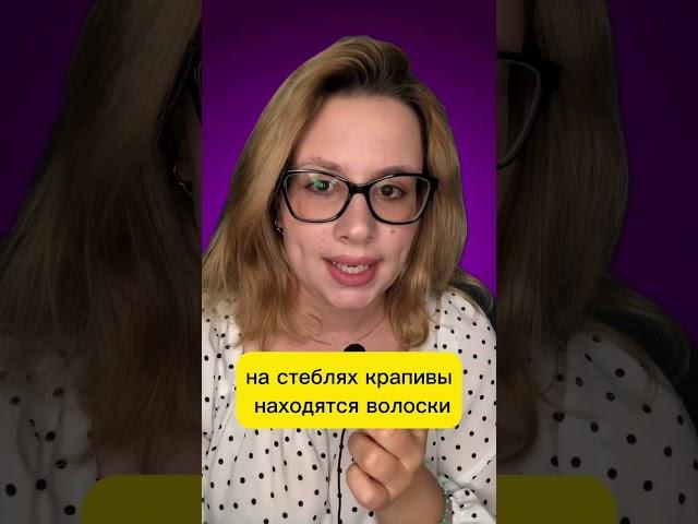 Почему крапива жалит? Ссылка на телеграм в комментариях.