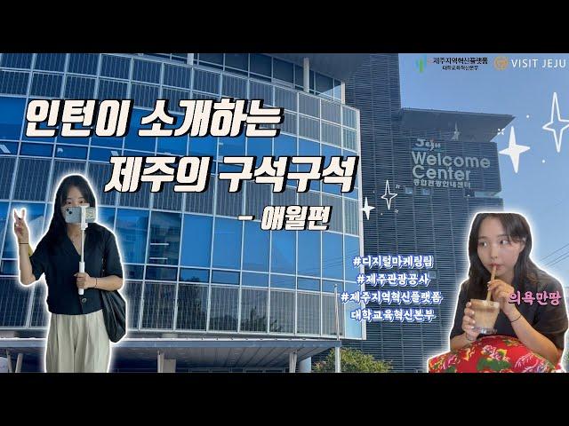 [vlog] 인턴이 알려주는 제주의 구석구석 (애월편) | 인턴의 하루