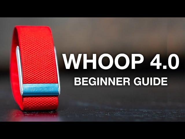 WHOOP 4.0: Ultimate Beginner's Guide