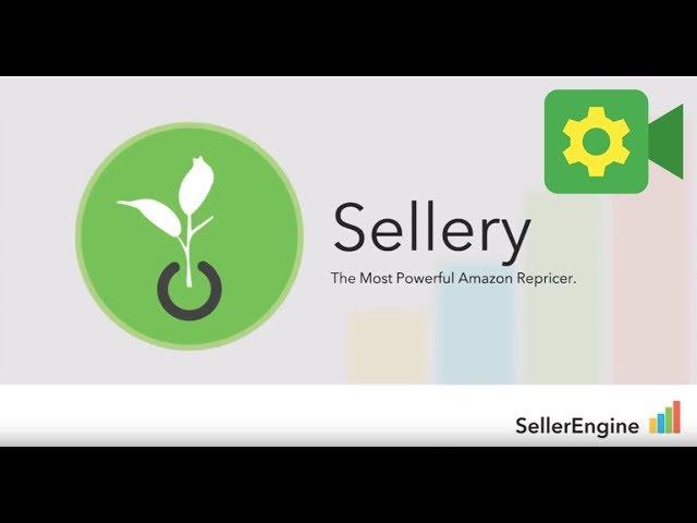 Automatic Repricing with Sellery