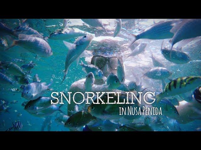 Bali: AMAZING Snorkeling at the coast of Nusa Lembongan and Nusa Penida