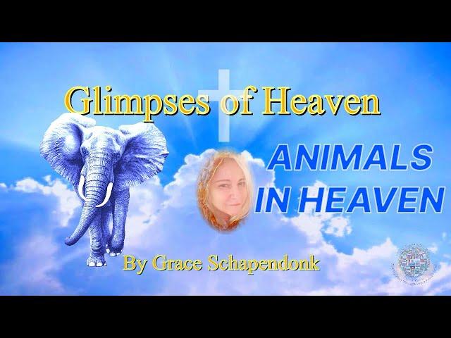 Animals in Heaven edit