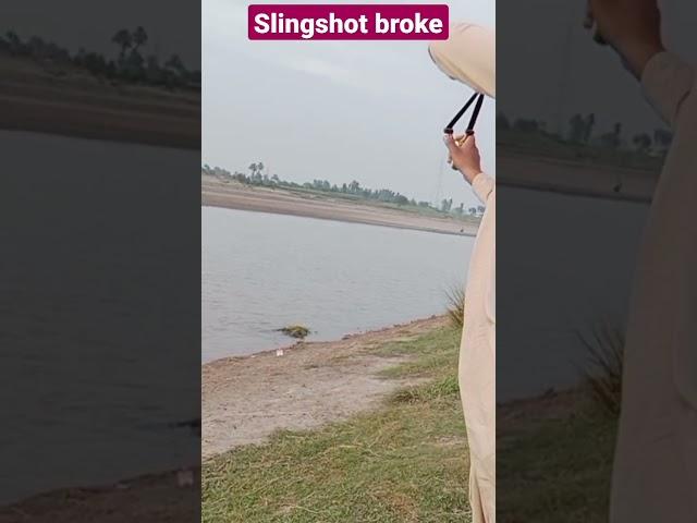 Slingshot broke during practice|Slingshot hunting|Slingshot Shooting|#youtubeshorts|