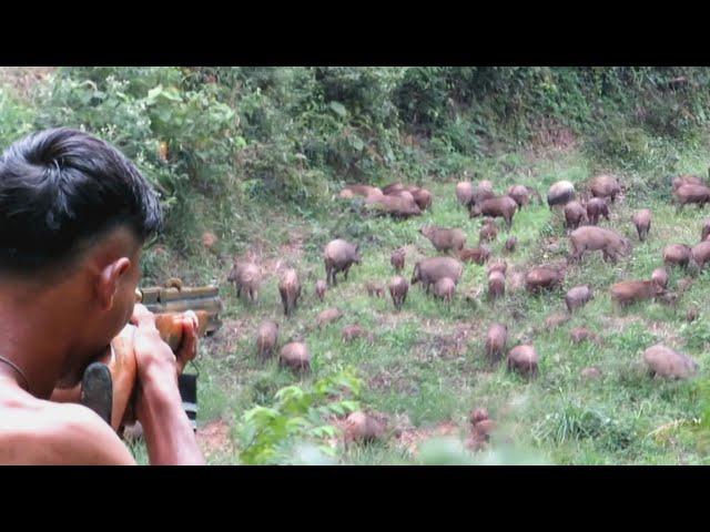 BERBURU 100 EKOR BABI HUTAN GUNUNG‼️deadly struggle,during the hunt for wild boars