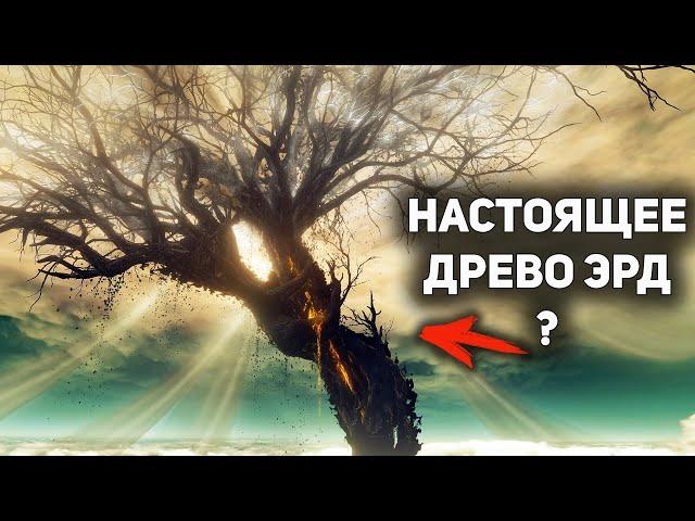 Древо Упадка это Древо Эрд и вот почему | Лор ELDEN RING Shadow of the Erdtree