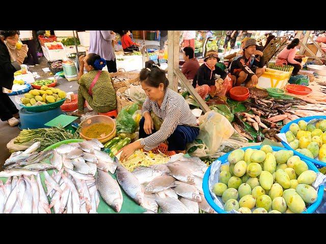 Daily Cambodian Vendors' Life & Food Market Scenes - Food Market & People Activities