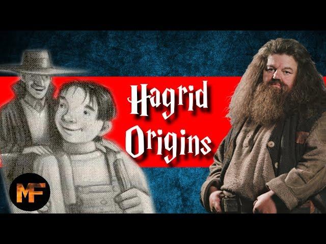 Rubeus Hagrid Origins Explained