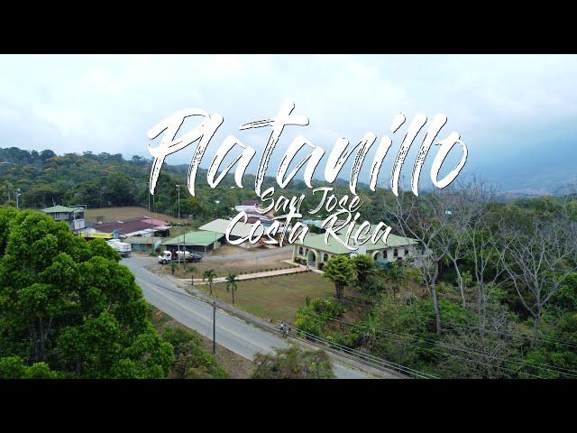 PLATANILLO DE BARU, COSTA RICA