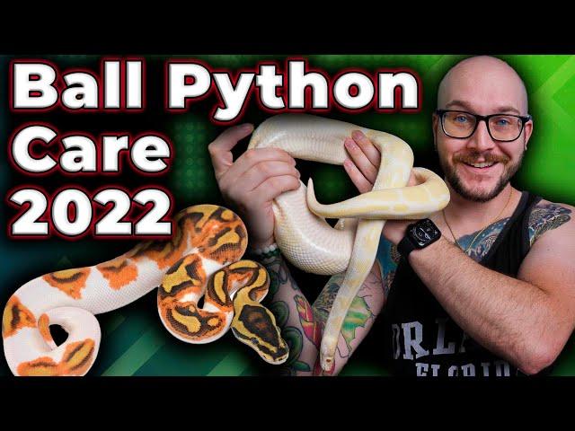 Ball Python Complete Care Guide 2022 | The RIGHT WAY and What Has Changed!