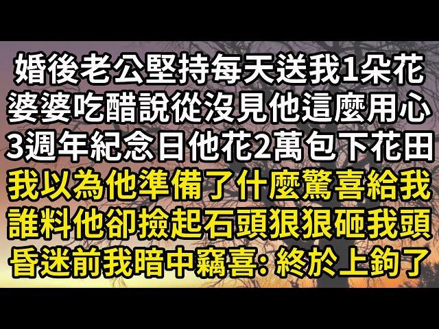 婚後老公堅持每天送我1朵花，婆婆都吃醋說從沒見他這麼用心，3週年紀念日他花2萬包下花田，我以為他準備了什麼驚喜給我，誰料他卻撿起石頭狠狠砸我頭，昏迷前我暗中竊喜:終於上鉤了