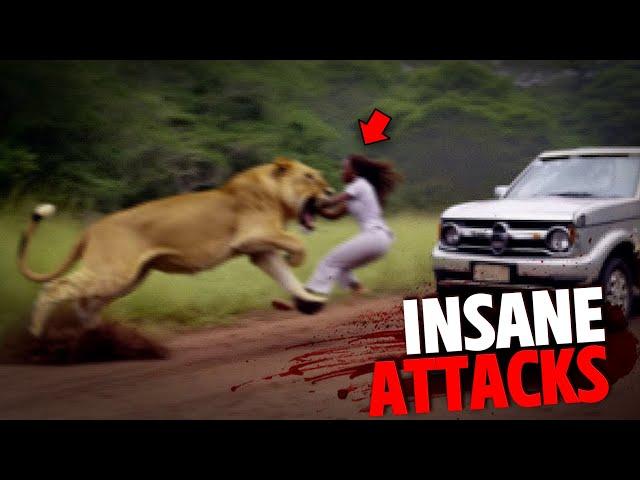 The Most INSANE Big Cat Attacks MARATHON!