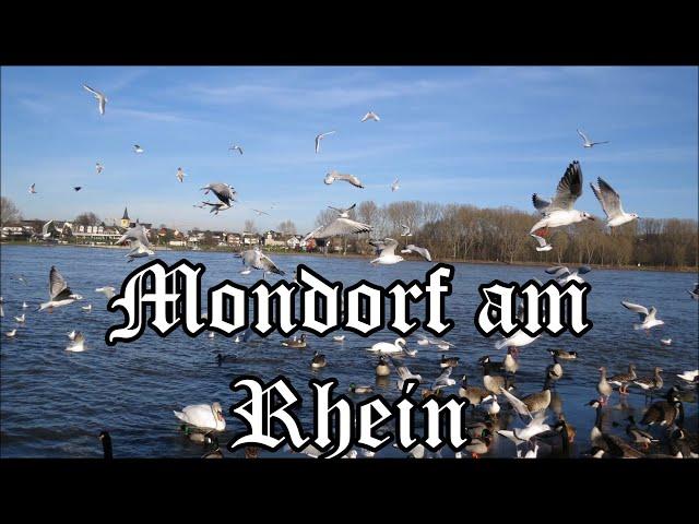 Mondorf am Rhein