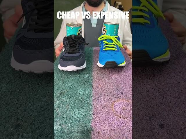 I tested cheap vs expensive running shoes!