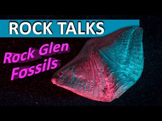 Fossil Hunting and Geologizing at Rock Glen - Rock Talks