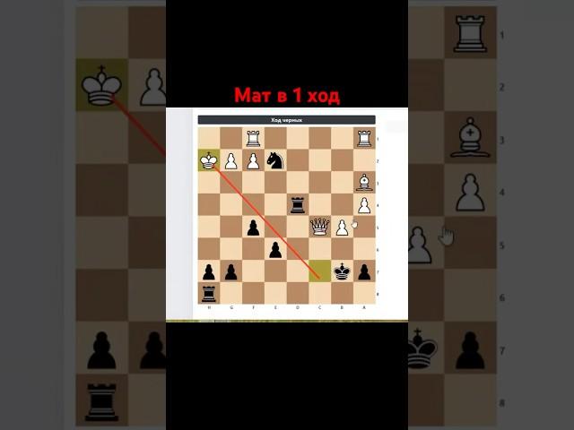 Мат в 1 ход. Отрывок с занятия. #chess777 #chess #шахматы #обучение