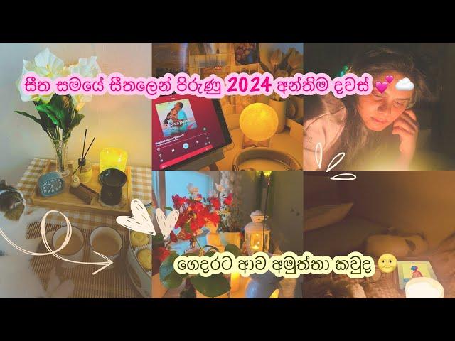 සීත සමයේ සීතලෙන් පිරුණු 2024 අන්තිම දවස්...️ | ගෙදරට ආව අමුත්තා | Life In Korea 