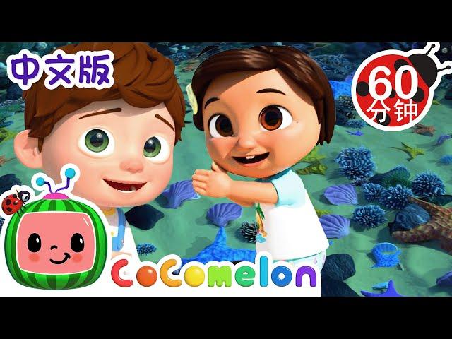 海洋动物歌 | 大合集 | 經典熱門兒歌 | Kids Song | 動畫 | 童謠 | 儿童学习 | 卡通片 | CoComelon 中文 | Nursery Rhymes