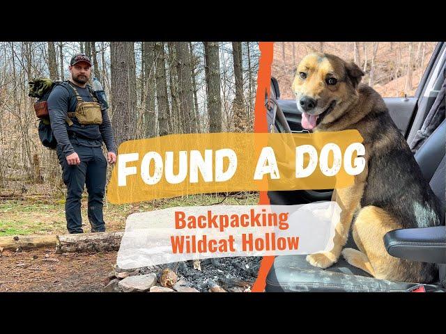 Solo Backpacking Wildcat Hollow | Wayne National Forest