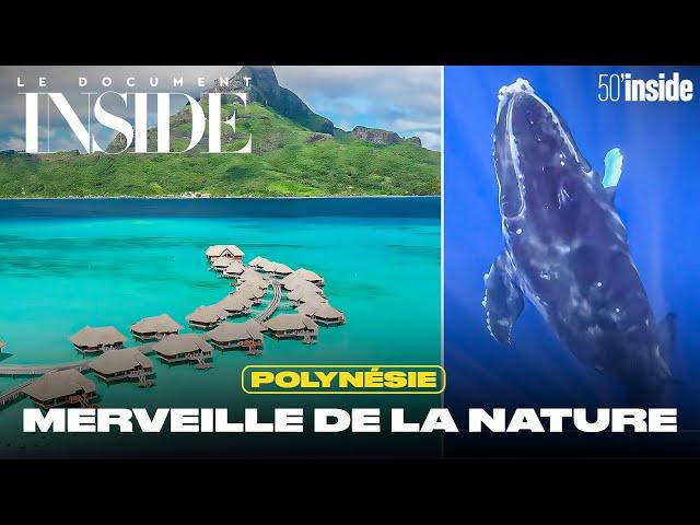 Polynésie, un paradis bleu | 50’Inside | Le Doc d'Inside