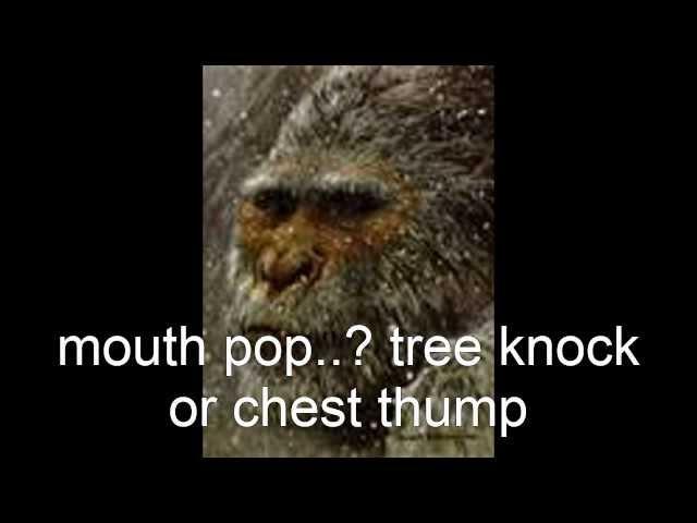 Sasquatch communication