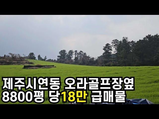 제주시 연동 오라골프장옆 8800평 당18만 지목 임야  급매물  010 4436 0401 제주도부동산 토지 매매  급매물