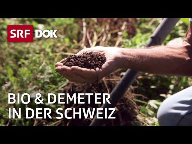 Bio und Demeter in der Schweiz – Spurensuche zu den Anfängen der Öko-Landbaus | Doku | SRF Dok