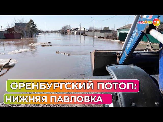 Нижняя Павловка: Паводок в Оренбуржье