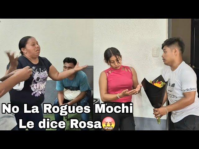 Mochi Llego Con Un Ramo De Flores Para karla  Yo A Usted Si La Amoo Le dice|Mira Que le Dijo Rosa.