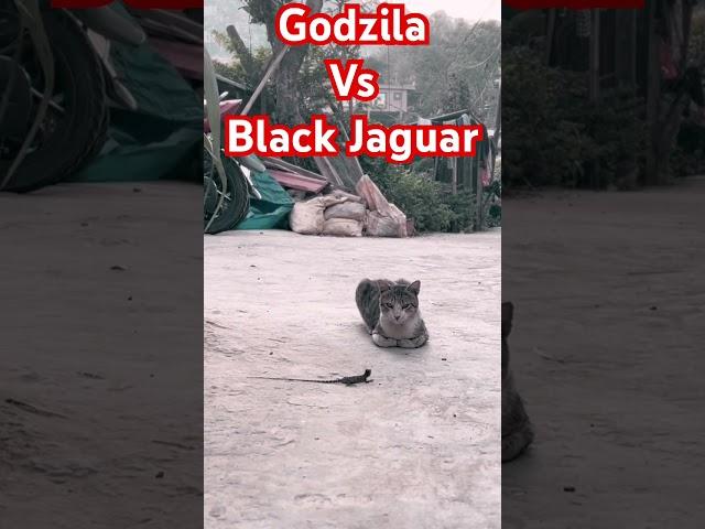 Godzila Vs Black Jaguar