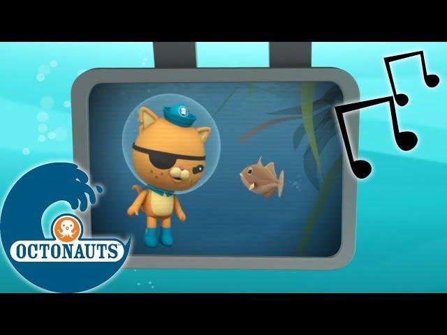 Octonauts - Poisson Déclencheur | Aventures Sous Les Mers