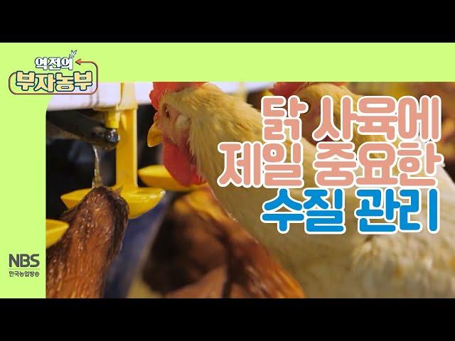 [역전의부자농부 224회] 사료만큼 중요한 닭 사육에 중요한 수질 관리