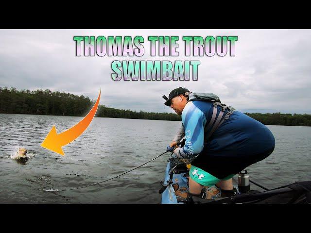 Trout Swimbait - Thomas the Trout Swimbait Catches BIG Bass From A Bonafide PWR129!