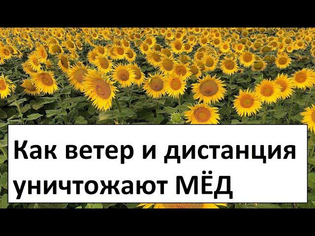 How honey is lost due to the distance to the field