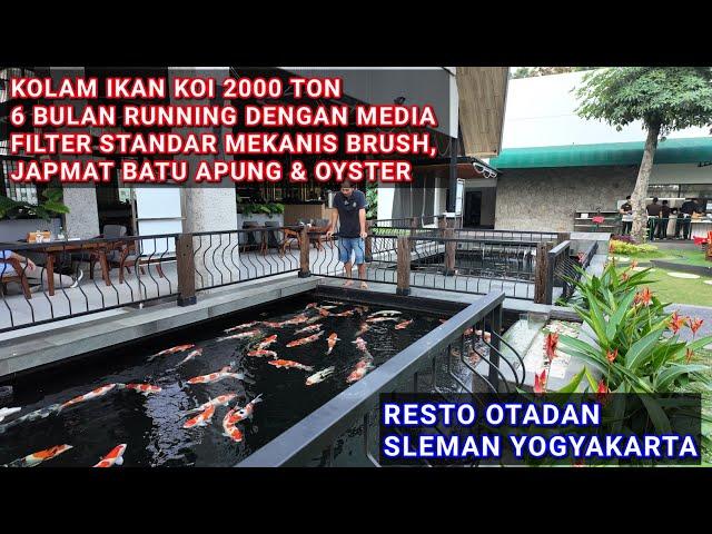 KOLAM IKAN KOI 2000 TON 6 BLN RUNING | RESTO OTADAN SLEMAN JOGJA