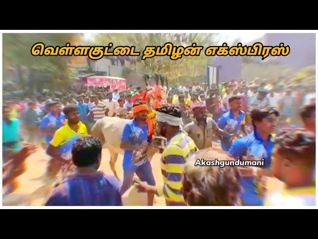 vellakuttai tamilan express play boy walking style