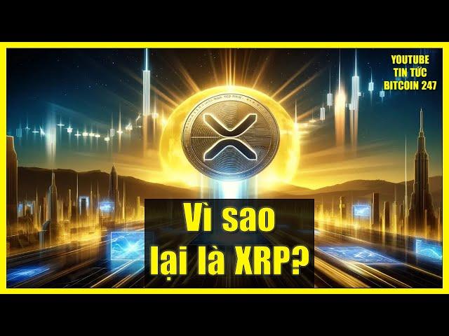 Vì sao XRP chiếm phần lớn trong danh mục đầu tư của mình?