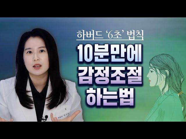 10분 안에 폭발하는 감정을 조절할 수 있습니다. (하버드 6초 법칙) | 박서희 정신과의사