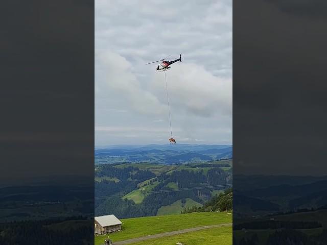 Switzerland: A Journey Through Paradise in 60 Seconds #switzerland #switzerlandtour