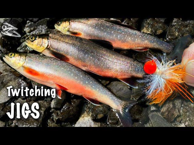 Twitching Jigs - jigging char & trouts!