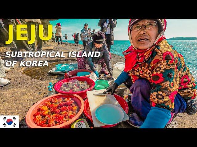 Jeju Island, South Korea - FAVORITE Places We Went to + Links (Part 1)