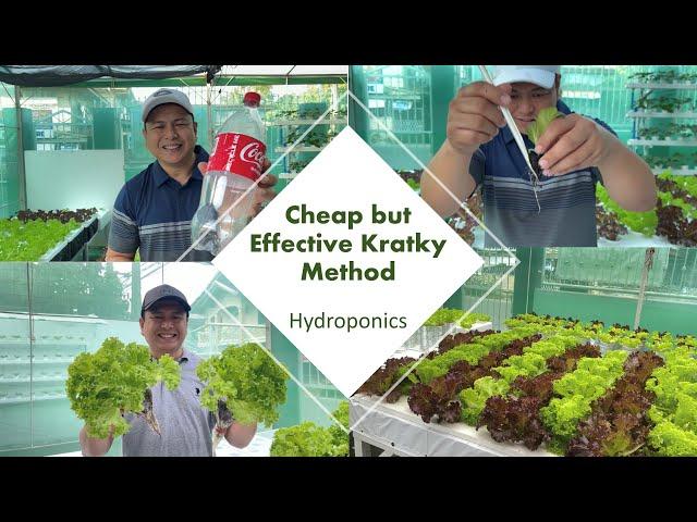 Hydroponics/Kratky Method Using Soda Bottle (with english subtitle) | Nars Adriano