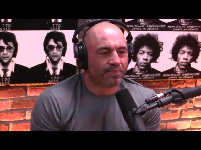 Joe Rogan on Micro-dosing Psilocybin