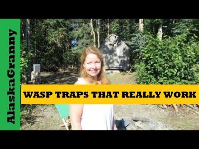 WASP TRAP THAT REALLY WORKS! RESCUE TRAPSTIK WASP TRAP